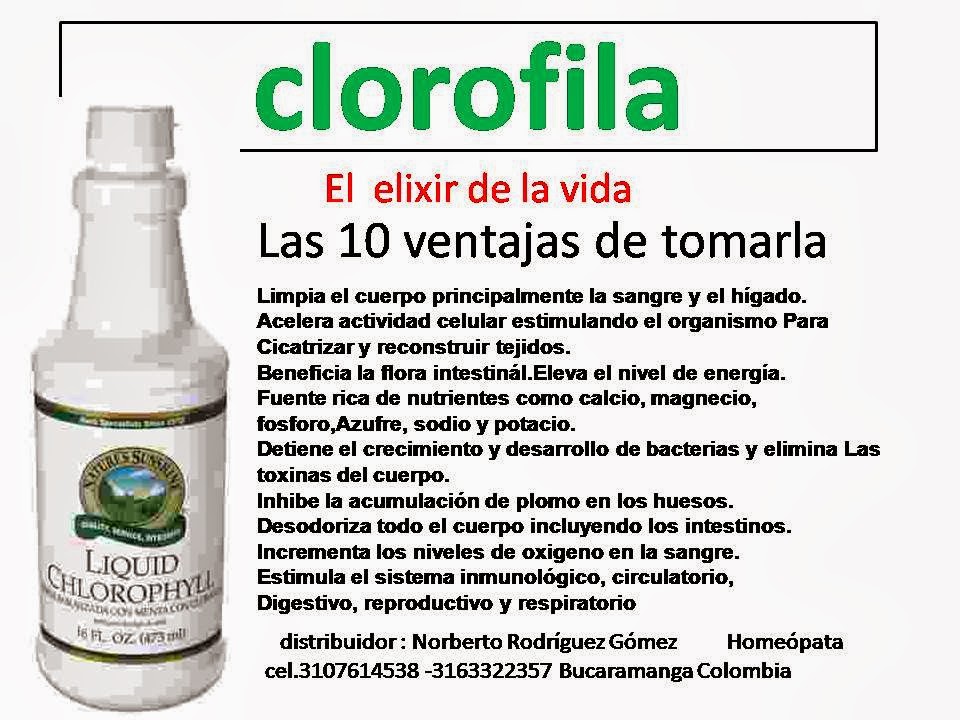 CLOROFILA PARA QUE SIRVE EPUB DOWNLOAD CLOROFILA PARA QUE SIRVE EPUB DOWNLOAD